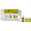 KORRES Santorini Grape Trio Set - für porenverfeinerte Haut Set per la cura del viso 1 pz.