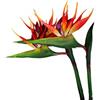 DODXIAOBEUL Grande uccello del paradiso, fiore permanente da 81 cm, stelo da 1,3 cm, resistente ai raggi UV, non sbiadisce, realizzato in morbida gomma PU, piante artificiali per casa e ufficio, 2 pezzi (rosso