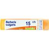 BOIRON Srl Berberis vulg boi*15ch 80gr 4g - BOIRON - 046235141
