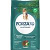 Forza10 Maintenance Dog Forza10 Maintenance Medium Adult al Cervo con Patate Crocchette cane - 12 kg