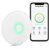 Airthings Wave Plus - luftkvalitetssen