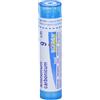 BOIRON Srl Ammonium Carbonicum 9CH Boiron 80 Granuli 4g