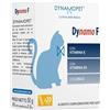 Dynamopet DYNAMO F 20STICK 2,5G
