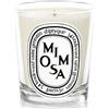 Diptyque Mimosa Scented Candle 190 gr - Candela Profumata