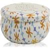 Paddywax Tulip Garden & Grove 56 g