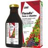 SALUS HAUS Gmbh & Co KG FLORADIX-INTEG FERRO 500ML