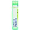 Boiron ECHINACEA ANGUST 4DH GRANULI 4G