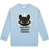 How To Train Your Dragon , Felpa Bambina, Maglione Ragazza Sdentato, Felpa Ragazza Primavera Dragon Trainer, Abbigliamento Bambina Cotone, Blu 11-12 Anni