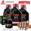 Motul - Hiflo - NGK Tagliando YAMAHA YZF-R6 600 R 2008-2020 Olio Motul 7100 10W40 + Filtro + Candele
