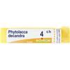 Phytolacca DE BOI Phytolacca Decandra*4Ch 80Gr 4 g Granuli