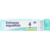Echinacea Laboratoires Boiron Echinacea Angust 4Dh Gr 4 g Granuli