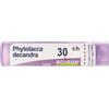 Boiron Phytolacca Decandra 30ch 80 Granuli Contenitore Multidose