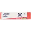 Boiron Lachesis Mutus 200k Globuli 1g