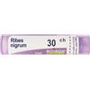 Boiron Ribes Nigrum 30ch Granuli