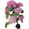 EffeZeta Pianta ornamentale di Ortensia in vaso 150 cm colore rosa