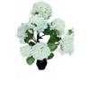 EffeZeta Pianta ornamentale di Ortensia in vaso 150 cm colore bianco