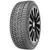 DOUBLESTAR 225/55 R16 95 H Double Star Winterking Dw08