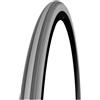CST 25 R489 Cst C-1407 Fischgrt 22x1