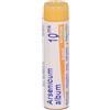 BOIRON® Arsenicum Album Granuli 10 Mk Contenitore Monodose 1 g Globuli
