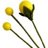 Your Castle Filzblumen fiori decorativi fatti a mano per creazioni personalizzate, regalo sostenibile, commercio equo, fiori d'arte realistici, 3 pezzi in giallo