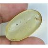 Gemsmyriad 100% Naturale Tanzania Giallo Ambra 8.55 CT Non Trattati Certificato S Insetto