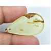 Gemsmyriad 100% Naturale Tanzania Giallo Ambra 10.10 KT 33 MM Non Trattato Certificato