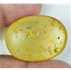 Gemsmyriad 100% Naturale Giallo Ambra con Piccolo Insetto Inside 20.65 KT Certificato Gemma