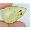 Gemsmyriad 100% Naturale Tanzania Giallo Ambra 22.10 CT Non Trattati Certificato S Insetto