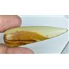 Gemsmyriad 100% Naturale Tanzania Giallo Ambra 23.20 CT Non Trattati Certificato S Insetto
