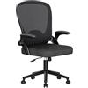 naspaluro Sedia da Ufficio Ergonomica, Braccioli Fissi, Poltrona Ufficio Supporto Lombare Unico, Cuscino Imbottito, Sedia da Ufficio Regolabile in Altezza, Per Casa Ufficio, Studio, Nero