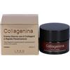 LABO INTERNATIONAL Srl LABO Collagenina Crema Giorno con 6 Collageni a Rapida Penetrazione - 50ml, Trattamento Rimpolpante e Rassodante