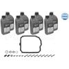 MEYLE AG Kit Cambio Olio Per Aut. Renault Laguna, Clio 93- Con Olio Grande