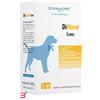 DYNAMOPET SRL DIMOOD LARGE 20 STICK DA 12 G