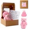 TOGETDREAM Orso preoccupante abbraccio in una scatola, un piccolo orso tascabile abbraccio mini peluche in scatola Get Well Soon regali per bambini Orsi tascabili con biglietto ispiratore regalo positivo per
