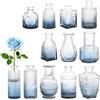 Segus Set Vasi Piccoli Vetro per Fiori, 12 Pezzi Piccolo Vaso di Vetro, Centrotavola Matrimonio, Vintage, per Tavolo, Feste, Casa (Gradient Blu)