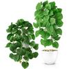 PASCH® Set di 2 piante artificiali sospese: piante artificiali come reali, piante artificiali da appendere, pianta artificiale sospesa, con vaso (set eucalipto, 26 cm)