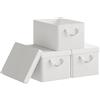 WOLTU Scatola Portaoggetti, Set di 1 Contenitori per Armadio, Scatola con Coperchio Rimovibile, Organizer con Maniglie Pieghevole, in Tessuto, Bianco, 38x27x20 cm