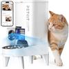 PETKIT YumShare Solo 2 Distributore Automatico di Cibo per Gatti con Telecamera HD 1080p, Riconoscimento Multiplo Gatti, Funzioni AI, Wi-Fi 2.4/5 GHz, Capacità 3L, Ciotola in Acciaio Inossidabile