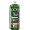 LOGONA Naturkosmetik Intense Repair Shampoo di equiseto biologico, 250 ml, pulizia delicata, vegano e naturale, senza silicone e solfati, per capelli danneggiati e fragili