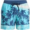 Quiksilver Everyday Printed Volley 15 Costume a Boxer, Aqua Termotropi, XXL Uomo