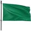 VlagDirect - Bandiera verde - Bandiera a tema verde - 90 x 150 cm.