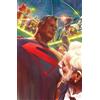Mark Waid Alex Kingdom Come: 30th Anniv (Copertina rigida) (PRESALE 06/10/2026)