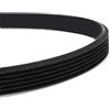 BildeeMait Cinghia per tapis roulant a coste PJ1185 Sport per bicicletta, alta resistenza all'usura al calore, parte di ricambio 10 nervature, nero