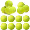 PORFOYO Palline da tennis, 15 pezzi, per il tempo libero, per bambini, principianti e cani, palline da tennis per lezioni di tennis, macchine per palloni e passeggiate con cani