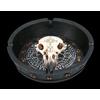 Cenere Nero Teschio - Mystic Arts - Aschen Gothic Testa Di Uccello Decorazione