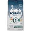 Generico FORZA 10 Cane Medium Adult - Cervo con Patate | alimento secco dietetico completo per cani adulti di taglia media, ipoallergenico, Made in Italy, 1 confezione da 12 kg.