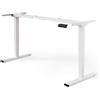DESKSPACE PRO Plus Scrivania Elettrica Regolabile in Altezza - Doppio Motore - Funzione Memory 3 Posizioni - USB QC 2.0/3.0 - Carico 160 kg - Casa & Ufficio