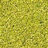 matches21 HOME & HOBBY Granuli decorativi verdi come decorazione colorata - 10 kg di sabbia decorativa grossa Ø 2 - 3 mm per bicchieri, vasi