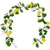 Lecreatekit Ghirlanda artificiale di limoni con foglie di eucalipto, 1,7 m, pianta rampicante finta per decorazione casa, matrimonio, festa, fogliame in plastica giallo verde
