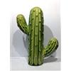 Petra d'amuri Cactus decorativo in ceramica Siciliana H 18 cm Hand Made in Sicily